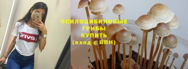 синтетический гашиш Богородск