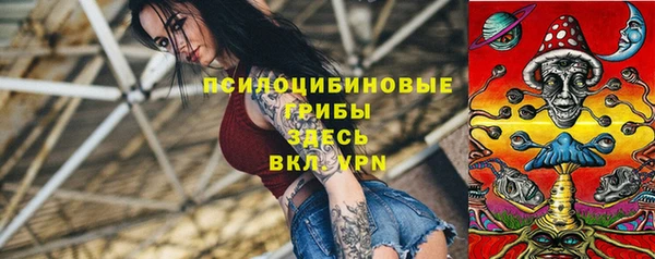 а пвп мука Белокуриха
