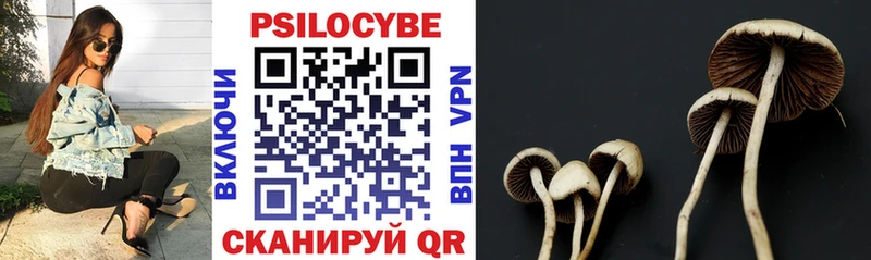 Галлюциногенные грибы Psilocybine cubensis  дарнет шоп  Торопец 